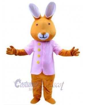 Brown Rabbit Mascot Costume Animal