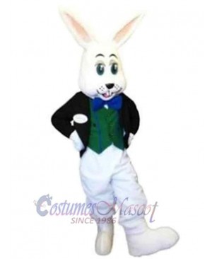 Rabbit Boy Mascot Costume Animal