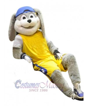 Sport Bunny Mascot Costume Animal