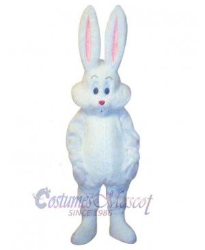 Likable Easter Bunny Rabbit Mascot Costume Animal