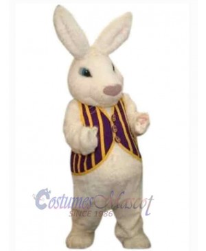 Lovely Easter Bunny Mascot Costume Animal