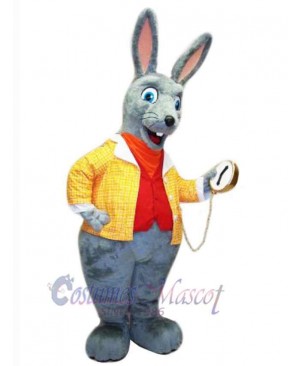 Rabbit in Yellow Coat Mascot Costume Animal