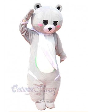 Friendly Bear Mascot Costume For Adults Mascot Heads