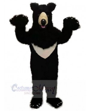 Plush Black Bear Mascot Costume For Adults Mascot Heads