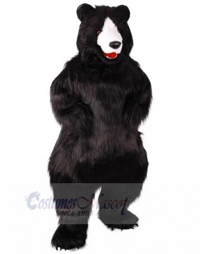 Strong Black Plush Bear Mascot Costume For Adults Mascot Heads