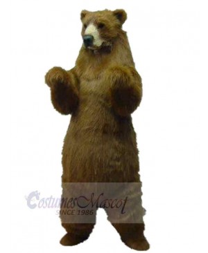 Strong Grizzly Bear Mascot Costume For Adults Mascot Heads