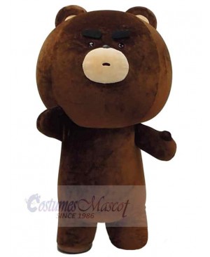 Big Brown Teddy Bear Mascot Costume Animal