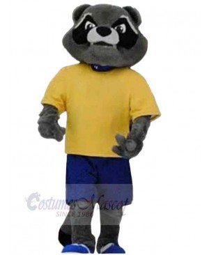 Strong Raccoon Mascot Costume Animal