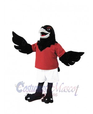 Power Raven Mascot Costume Animal