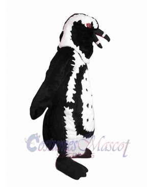 Dolphin Adult Mascot Costume Ocean