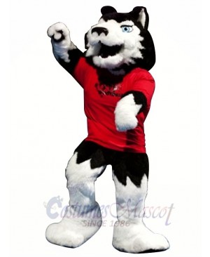 Superb College Wolf Mascot Costume 
