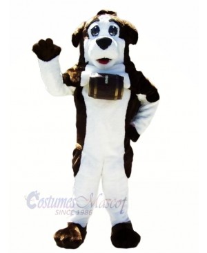 Brown and White Saint Bernard Dog Mascot Costumes