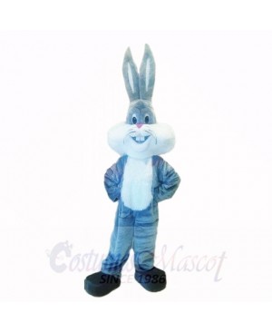 Grey Lightweight Rabbit with Long Ear Mascot Costumes Cartoon