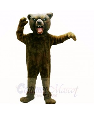 Grizzly Bear Mascot Costumes Adult