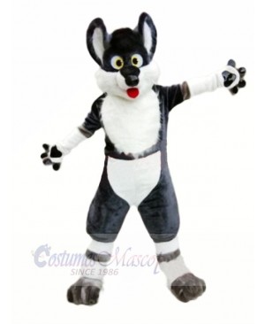 Happy Husky Dog Mascot Costumes Cartoon