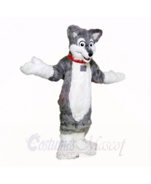 Grey Lightweight Husky Dog Mascot Costumes School