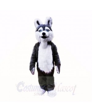 Smiling Grey Plush Husky Dog Mascot Costumes School