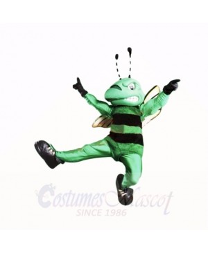 Top Quality Green Hornet Mascot Costumes Cartoon