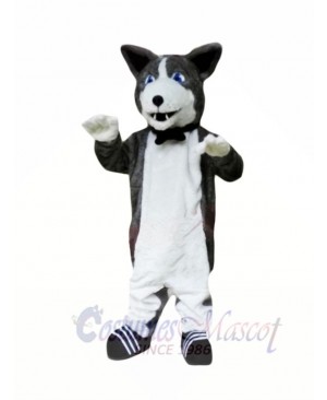 Cute Plush Husky Mascot Costumes Animal	