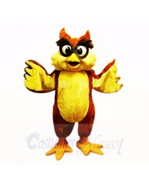 Friendly Lightweight Owl with Big Eyes Mascot Costumes School