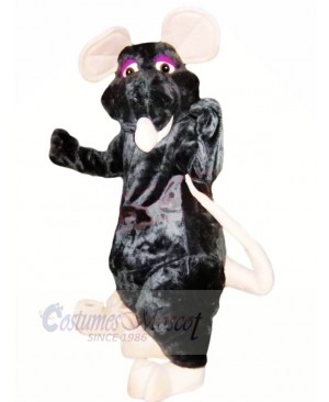 Friendly Black Rat Mascot Costumes Cheap