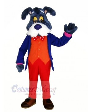Old Blue Dog Mascot Costumes Cartoon	